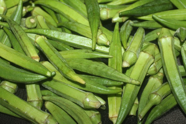 Loại rau &quot;vua nuôi dưỡng dạ dày&quot;, ăn nhiều bụng khỏe, xương tốt còn dưỡng nhan - Ảnh 4.