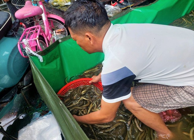 Nước dâng nhanh nhấn chìm trại nuôi lươn, cả làng chung tay cứu 6 tấn lươn khỏi nước lũ - Ảnh 3.