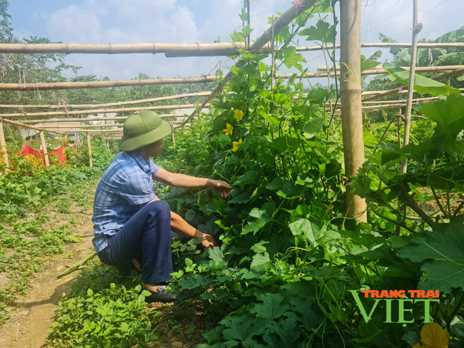 Điện Biên: Cùng bắt tay đào tạo nghề, giải quyết việc làm cho lao động nông thôn   - Ảnh 3.