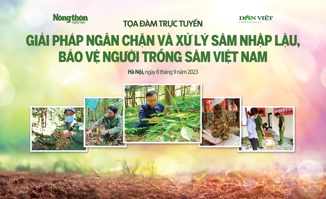 Sáng mai: Tọa đàm Giải pháp ngăn chặn và xử lý sâm nhập lậu, bảo vệ người trồng sâm Việt Nam - Ảnh 1.