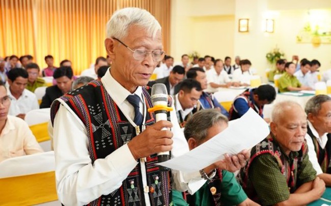 Thừa Thiên Huế nghiên cứu chính sách thí điểm hỗ trợ bảo hiểm rừng trồng  - Ảnh 1.