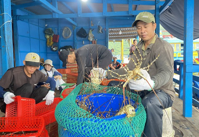 Gia tăng “rào cản” tại các thị trường xuất khẩu, nông sản Việt tìm cách thích ứng- Ảnh 2.