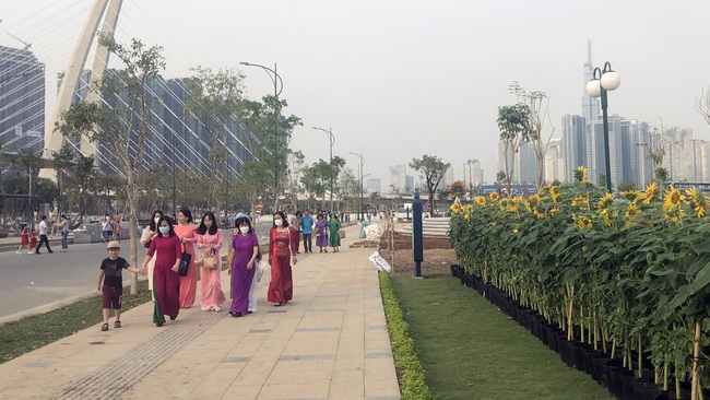 "Cánh đồng" hoa hướng dương bên sông Sài Gòn rực rỡ hơn cho dịp Tết - Ảnh 1.