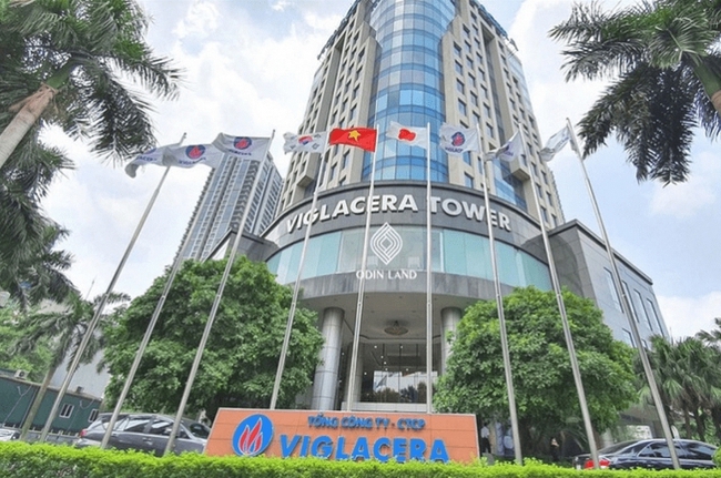Viglacera bị phạt, truy thu thuế hơn 11 tỷ đồng- Ảnh 1.
