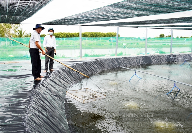 Hội Nông dân tỉnh Bạc Liêu phát triển thế hệ “nông dân mới” sành công nghệ- Ảnh 1.