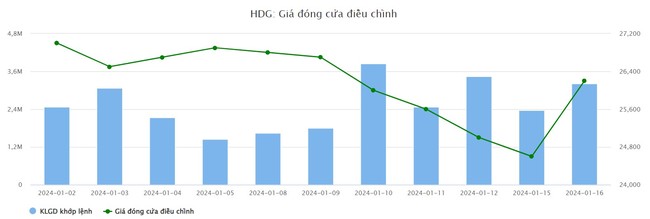Quỹ ngoại Dragon Capital liên tục "lướt sóng" cổ phiếu HDG của Tập đoàn Hà Đô- Ảnh 1.