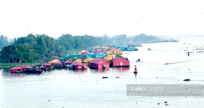 An Giang: "Làng bè sắc màu ngã ba sông Châu Đốc" chính thức đón khách tham quan- Ảnh 1.