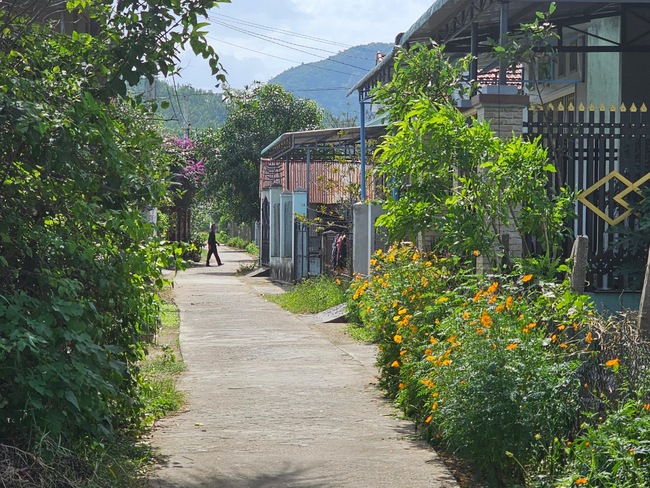 Một xã của tỉnh Bình Định, làng quê đẹp như tranh, người dân trồng rau, hoa mà thu 53,5 triệu đồng/người/năm- Ảnh 6.