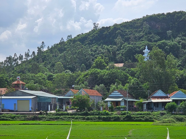 Một xã của tỉnh Bình Định, làng quê đẹp như tranh, người dân trồng rau, hoa mà thu 53,5 triệu đồng/người/năm- Ảnh 4.