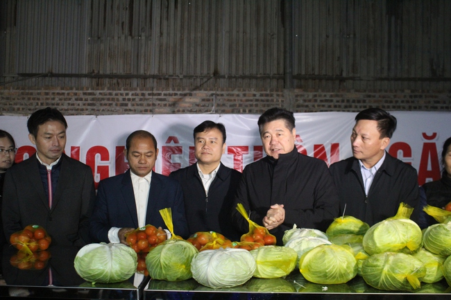 Rau củ Việt Nam trồng theo tiêu chuẩn Nhật Bản sẵn sàng  ra chợ tết- Ảnh 1.