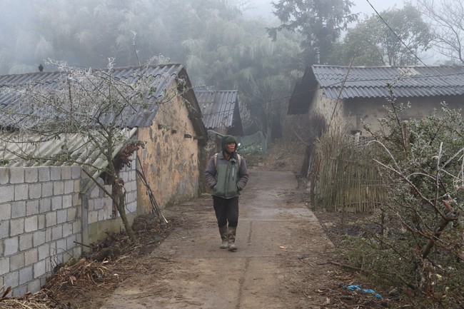 Cận cảnh cuộc sống người dân vùng cao Mèo Vạc, Hà Giang những ngày rét buốt, nhiệt độ dưới 5 độ C- Ảnh 9.