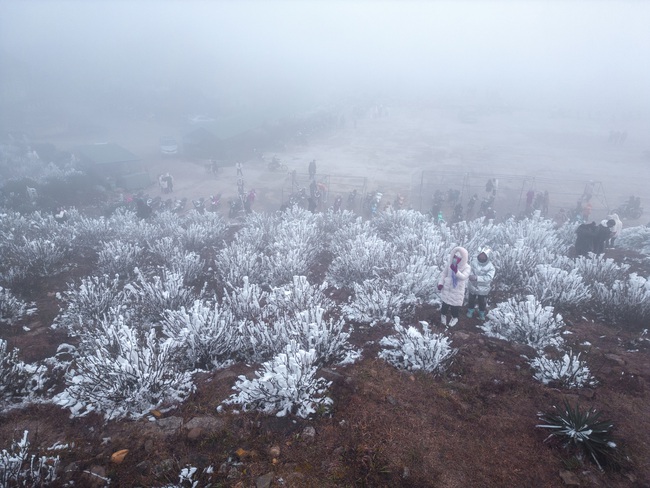Giới trẻ vượt hàng trăm kilomet, mặc 5 lớp áo đi săn băng tuyết ở Mẫu Sơn- Ảnh 4.