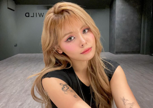 Bạn thân của Lisa (Blackpink) vướng nghi vấn bị CEO lừa dối tình cảm, ngược đãi?- Ảnh 2.