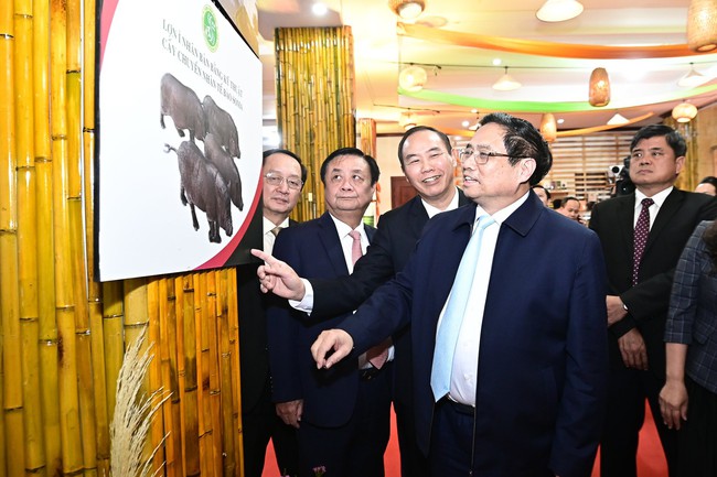 Thủ tướng Phạm Minh Chính: Ngành nông nghiệp đã vượt cơn gió ngược, có một năm được mùa được giá- Ảnh 2.