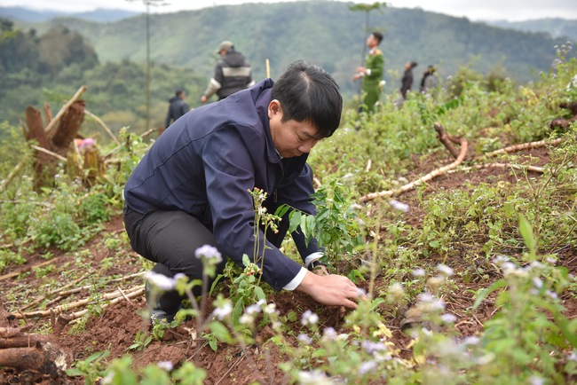 Tết An Bình 2024: ABBANK gây quỹ tài trợ 50.000 cây gỗ lớn cho người dân Quảng Bình- Ảnh 1.
