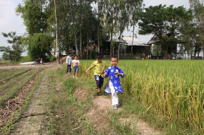 Đất hương hoả- Ảnh 1.