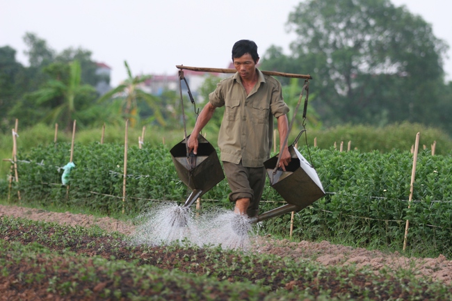 Bước chân về phía biển- Ảnh 1.