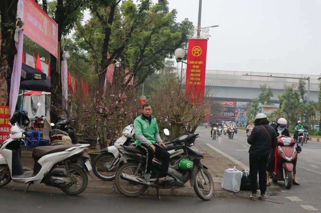 Lái xe ôm "bỏ khách" nhận chở đào, quất thuê kiếm tiền triệu những ngày cận Tết- Ảnh 5.