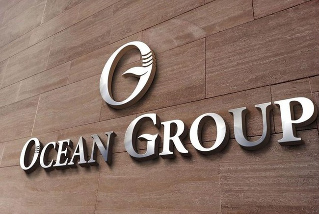 Ai đứng sau doanh nghiệp "4 ngày tuổi" mua hơn 50 triệu cổ phiếu Ocean Group?- Ảnh 1.