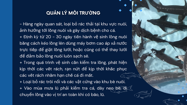 SỔ TAY NHÀ NÔNG: Kỹ thuật chăm sóc và quản lý đàn cá tầm- Ảnh 3.