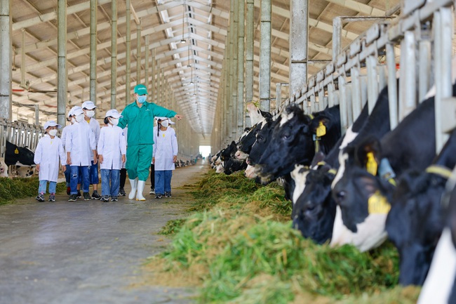 Ưu tiên đẩy mạnh hoạt động khoa học và công nghệ ngành chăn nuôi đến năm 2030- Ảnh 2.