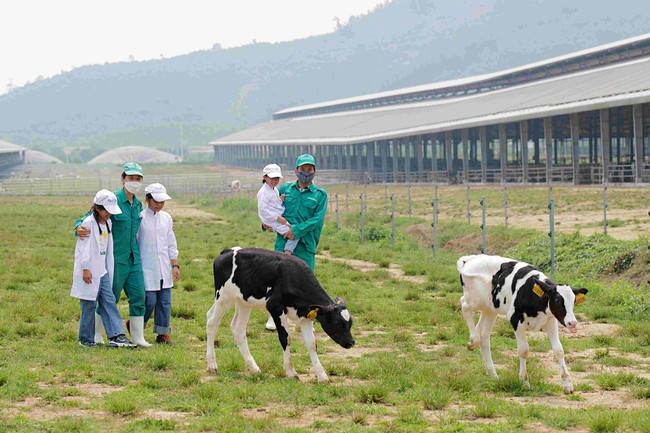 Ưu tiên đẩy mạnh hoạt động khoa học và công nghệ ngành chăn nuôi đến năm 2030- Ảnh 1.