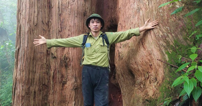 Một khu rừng ở Nghệ An có cây cổ thụ đã sống 2.000 năm, cả chục người ôm mới xuể- Ảnh 5.