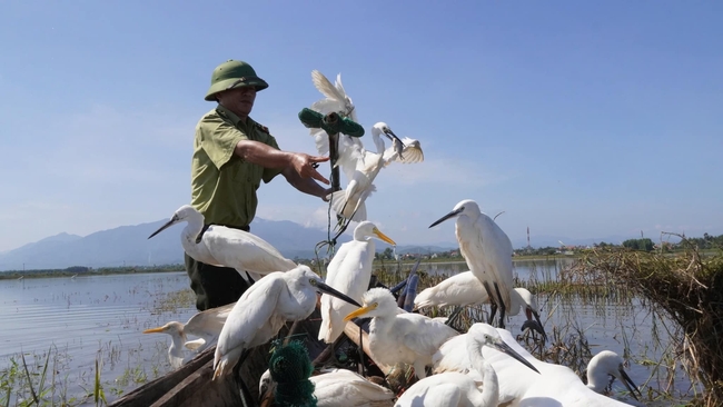 Kiểm lâm ở Huế tháo dỡ hàng nghìn dụng cụ bẫy chim trời, giải cứu hàng trăm cá thể chim hoang dã- Ảnh 2.