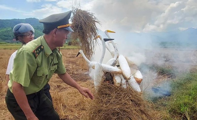 Kiểm lâm ở Huế tháo dỡ hàng nghìn dụng cụ bẫy chim trời, giải cứu hàng trăm cá thể chim hoang dã- Ảnh 3.