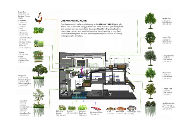 Khám phá sự kỳ diệu khi nông nghiệp hoà mình vào kiến trúc nhà ở- Ảnh 6.
