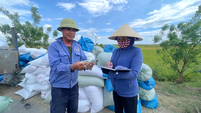 Rủ nhau vào HTX, liên kết trồng lúa, thu lãi cao - Ảnh 1.