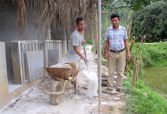 Nghệ An: Dịch tả lợn châu Phi bùng phát, một xã toàn bộ các xóm đều xuất hiện ổ dịch - Ảnh 2.