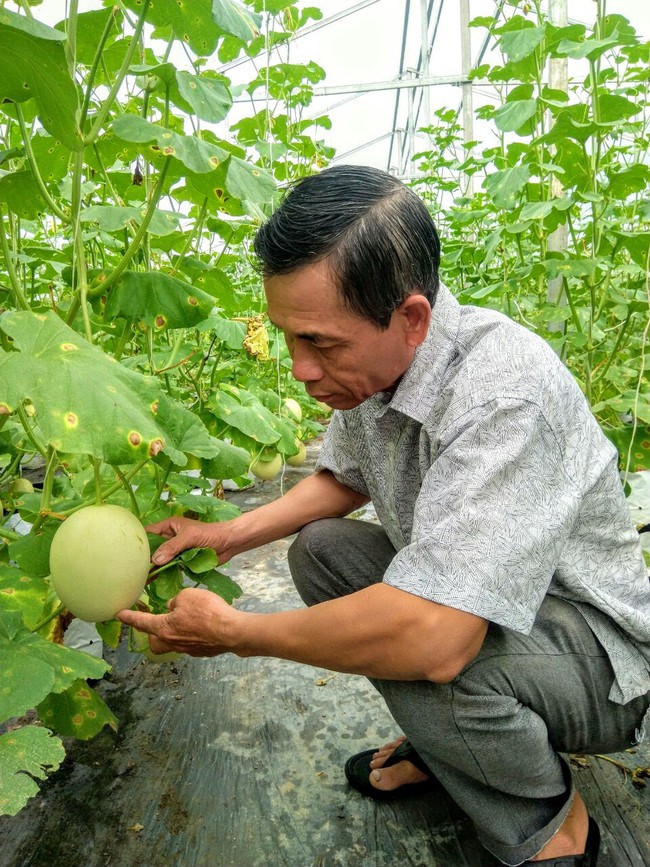 Hậu Giang phát triển OCOP: Gắn kết công nghệ 4.0 và văn hóa để phát triển bền vững - Ảnh 1.