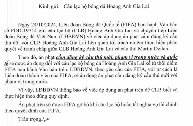 CLB HAGL bị FIFA cấm chuyển nhượng vô thời hạn? - Ảnh 2.