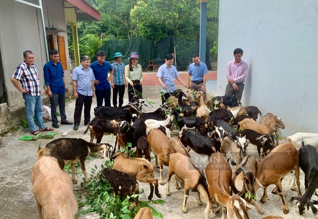 Tạo sức bật giúp nhà nông Thanh Hóa phát triển kinh tế - Ảnh 1.