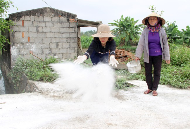 Nghệ An: Nếu để dịch bệnh trên động vật lây lan, lãnh đạo địa phương phải chịu phê bình trước Chủ tịch tỉnh - Ảnh 3.