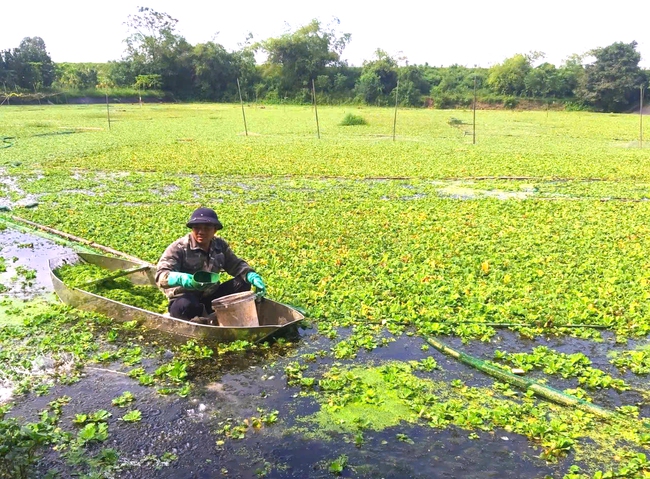 Hiệu quả kinh tế và nhóm giải pháp phát triển kinh tế trang trại tại Hà Nam - Ảnh 3.