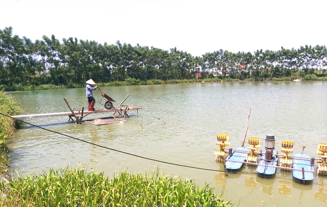 Hiệu quả kinh tế và nhóm giải pháp phát triển kinh tế trang trại tại Hà Nam - Ảnh 2.