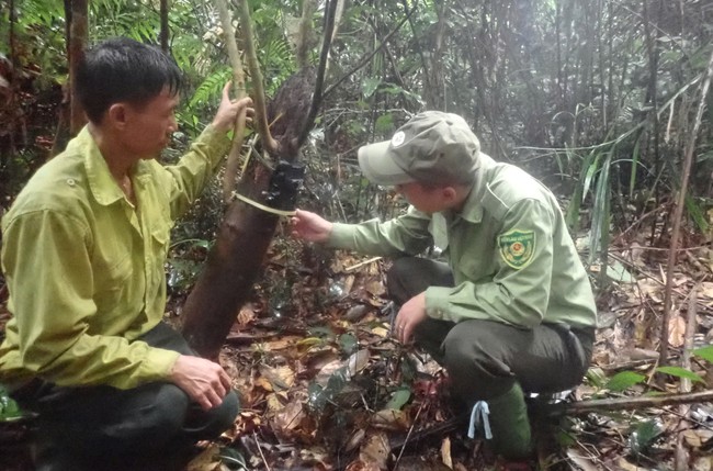 Khu bảo tồn bí mật giăng bẫy ảnh, những loài động vật hoang dã quý hiếm nào đã lộ diện? - Ảnh 5.