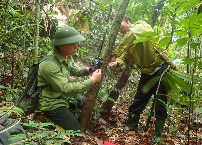 Khu bảo tồn bí mật giăng bẫy ảnh, những loài động vật hoang dã quý hiếm nào đã lộ diện? - Ảnh 1.