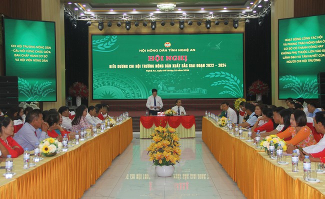 Nghệ An: Biểu dương 60 chi hội trưởng nông dân xuất sắc giai đoạn 2022-2024 - Ảnh 1.