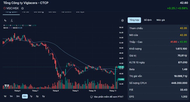 Doanh thu mảng hạ tầng công nghiệp giảm, Viglacera báo lãi quý 3 "bốc hơi" 46% so với cùng kỳ - Ảnh 5.