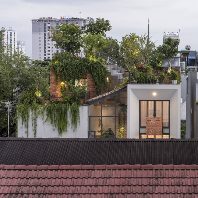 Park Roof House: Thiết kế cả "công viên xanh" trên gác mái giữa lòng thành phố- Ảnh 1.