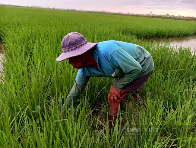 Luật Đất đai 2024 bảo vệ lợi ích người dân, giúp dân giàu lên như thế nào? (Bài 2) - Ảnh 3.