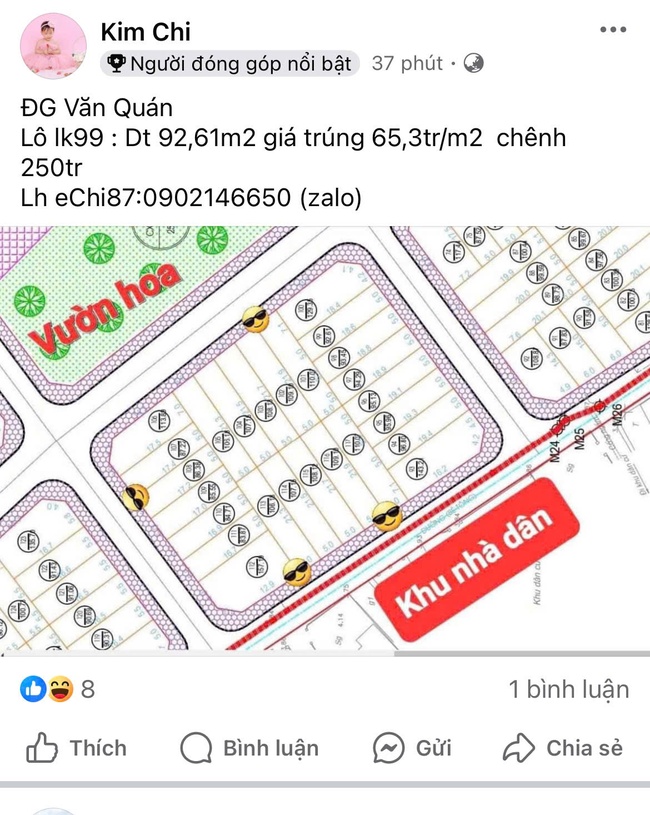 Hà Nội: Đấu giá đất Thanh Oai chưa kết thúc, "cò" đất đã rao chênh 250 triệu - Ảnh 2.