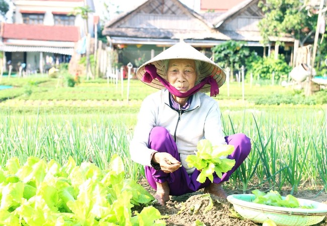 Quảng Nam đẩy mạnh tái cơ cấu ngành nông nghiệp gắn với xây dựng nông thôn mới- Ảnh 3.