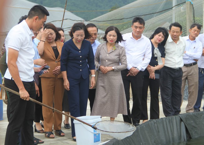 Phó Chủ tịch BCH T.Ư Hội NDVN Bùi Thị Thơm làm việc tại Nghệ An gợi mở nhiều nội dung quan trọng - Ảnh 7.