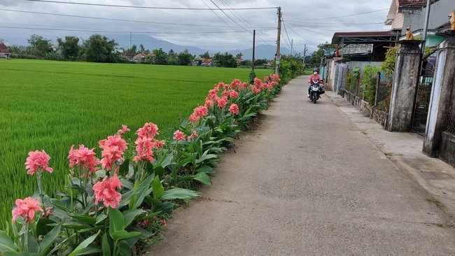 Phú Yên: Triển khai quyết liệt các chương trình mục tiêu quốc gia - Ảnh 2.