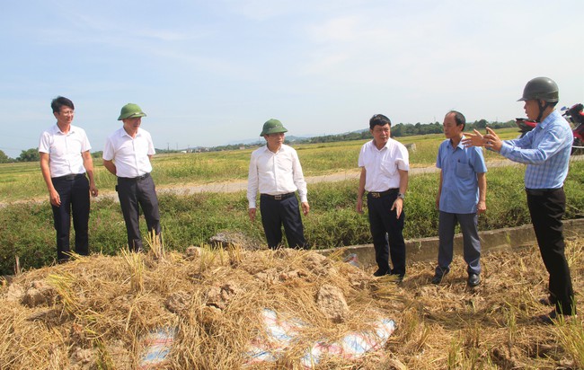 Chủ tịch HND Nghệ An: Diễn đàn lắng nghe nông dân nói, bàn đúng vào chủ đề nóng- Ảnh 1.