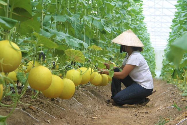 Chủ tịch HND Nghệ An: Diễn đàn lắng nghe nông dân nói, bàn đúng vào chủ đề nóng- Ảnh 3.